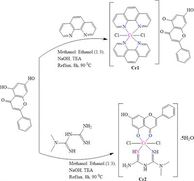 Organic–inorganic hybrid salt and mixed ligand Cr(III) complexes containing the natural flavonoid chrysin: Synthesis, characterization, computational, and biological studies